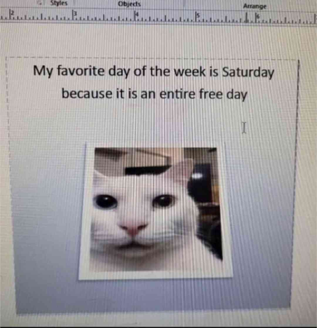 picture of a cat with the text 'My favorite day of the week is Saturday. because its an entire free day'